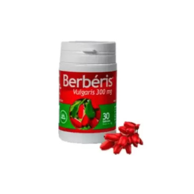Berberis