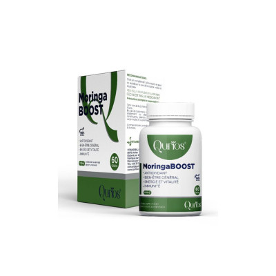 moringa qurios