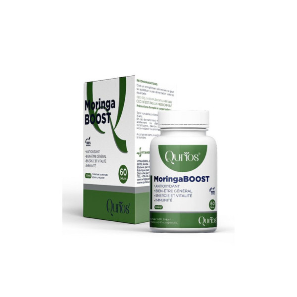 moringa qurios